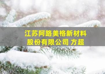 江苏阿路美格新材料股份有限公司 方超